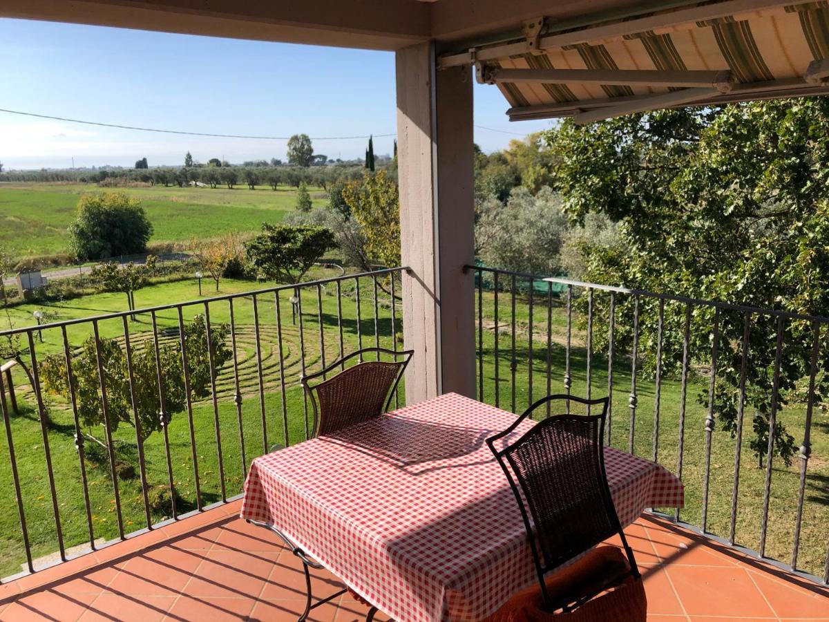 Il Grano Di Bramante Villa Marrucheto Ngoại thất bức ảnh