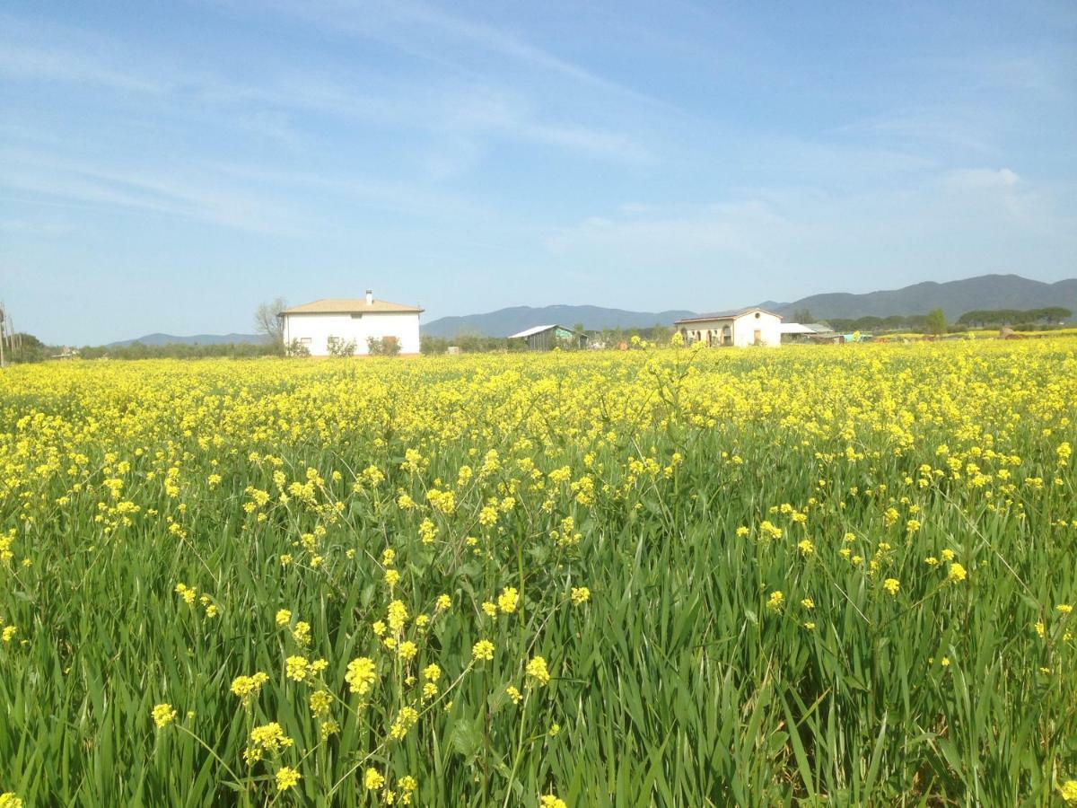 Il Grano Di Bramante Villa Marrucheto Ngoại thất bức ảnh