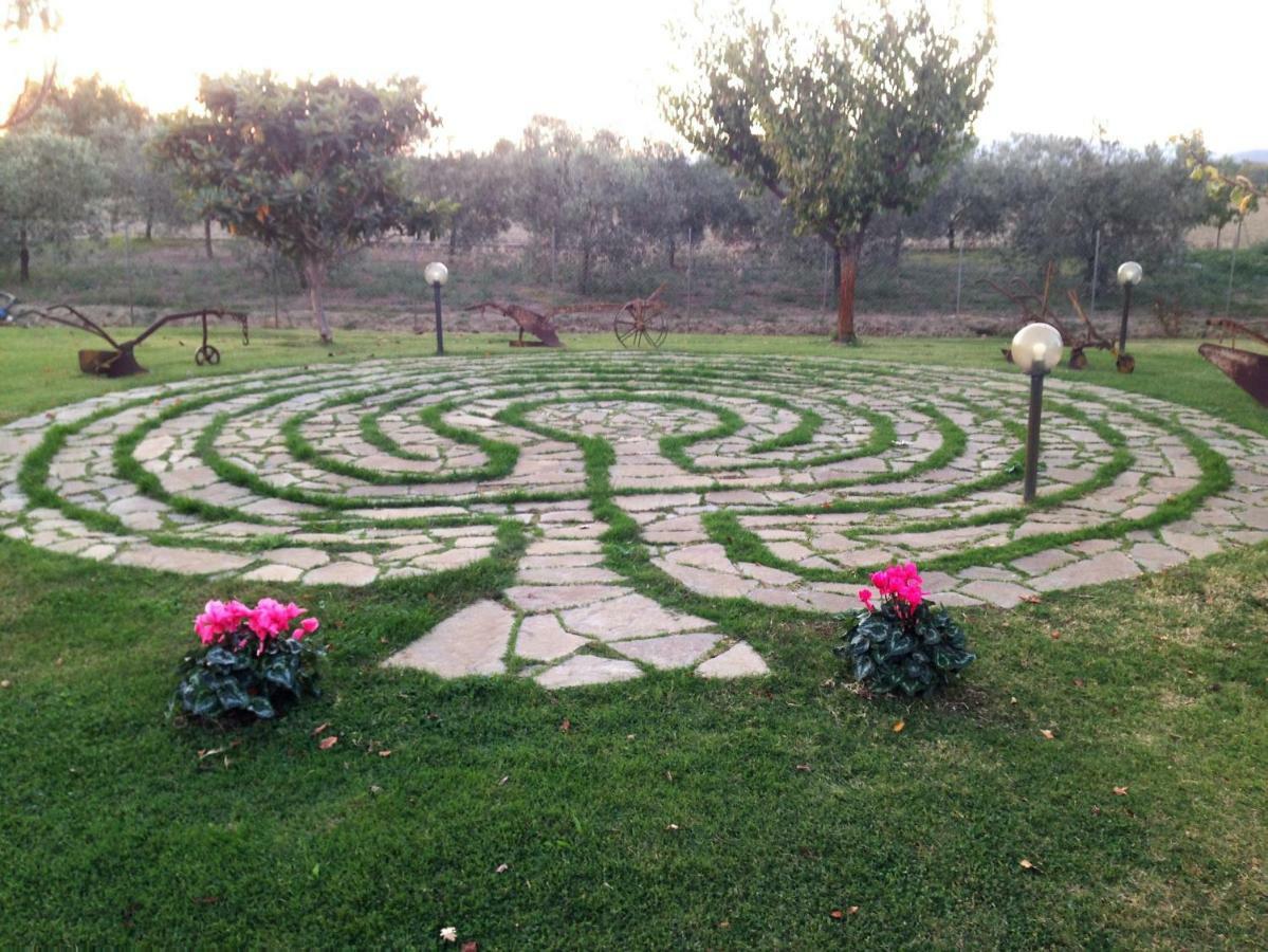 Il Grano Di Bramante Villa Marrucheto Ngoại thất bức ảnh
